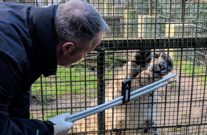 Call for Welsh Mountain Zoo to be safely reopened for locals