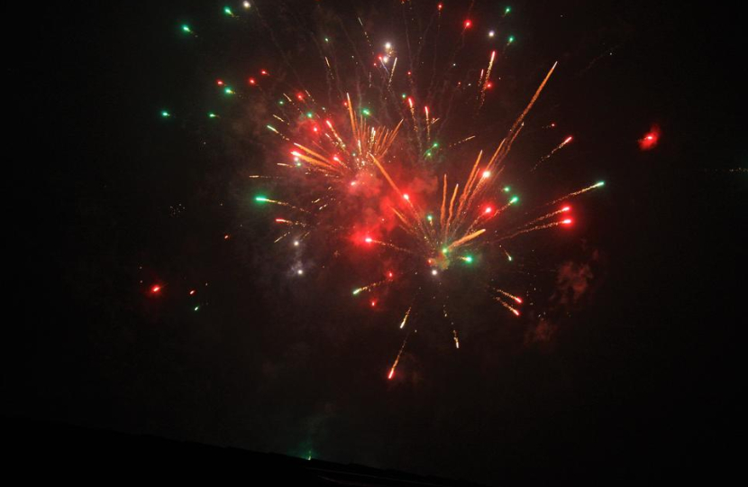 People urged to consider the impact of fireworks on animals, older people and vulnerable