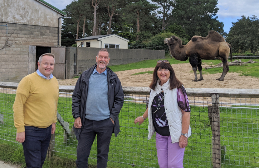 Call for the Welsh Mountain Zoo to be reopened 