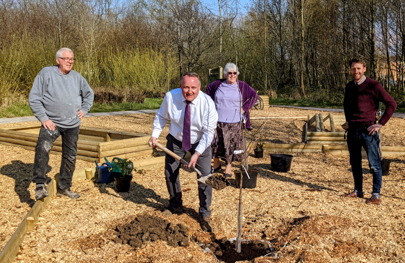 Plum tree planted at new community orchard 