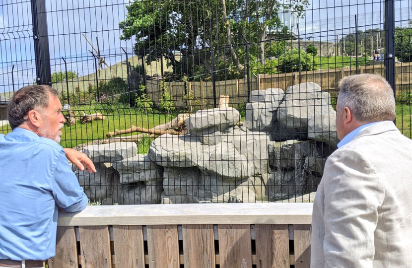 Visitors return to Welsh Mountain Zoo